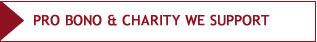 Our pro bono commitment